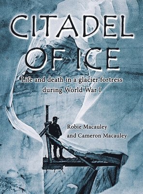 Citadel of Ice