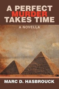 bokomslag Perfect Murder Takes Time