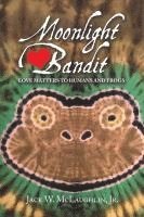 bokomslag Moonlight Bandit