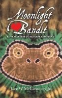 bokomslag Moonlight Bandit