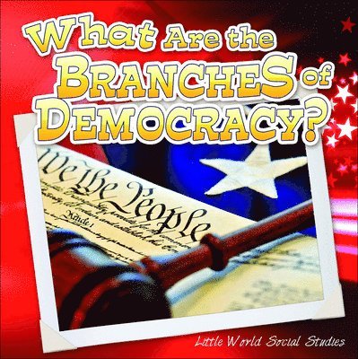 What Are the Branches of Government? 1