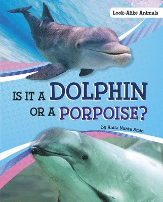 Is It a Dolphin or a Porpoise? 1
