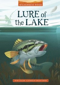 bokomslag Lure of the Lake