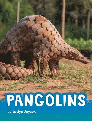 Jaclyn Jaycox - Pangolins, Inbunden