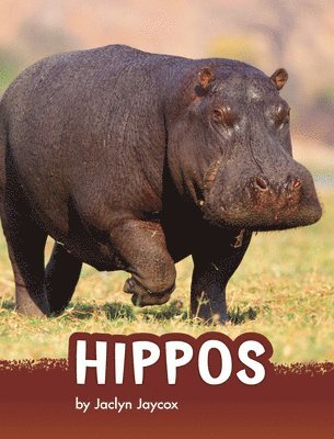 Jaclyn Jaycox - Hippos, Inbunden