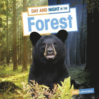Ellen Labrecque - Day and Night in the Forest, Inbunden. Tillgänglighet: Lägg i varukorg