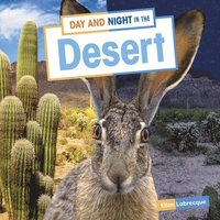 bokomslag Day and Night in the Desert