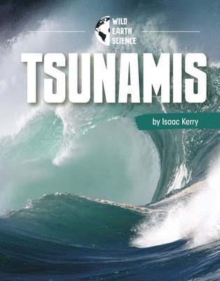 bokomslag Tsunamis