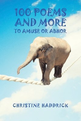 Christine Haddrick - 100 Poems and More to to Amuse or Abhor, Häftad