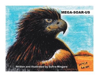 bokomslag Mega-Soar-Us