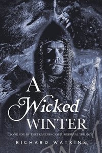 bokomslag A Wicked Winter