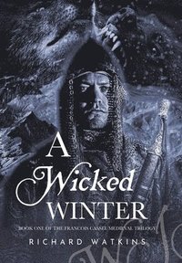 bokomslag Wicked Winter