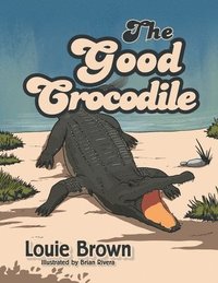 bokomslag The Good Crocodile
