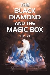 bokomslag Black Diamond and the Magic Box