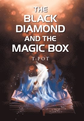 bokomslag Black Diamond and the Magic Box