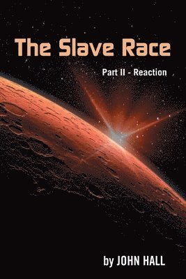bokomslag Slave Race