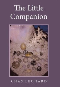 bokomslag Little Companion