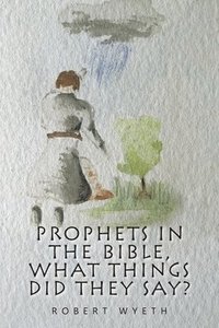 bokomslag Prophets in the Bible, What Things Did They Say?