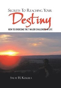 bokomslag Secrets to Reaching Your Destiny