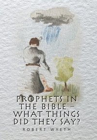 bokomslag Prophets in the Bible - What Things Did They Say?