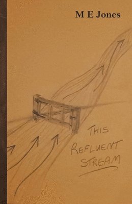 bokomslag This Refluent Stream
