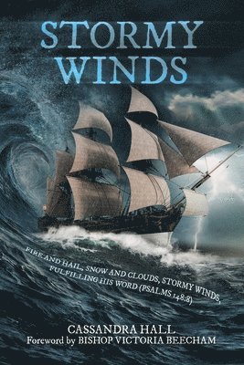 bokomslag Stormy Winds