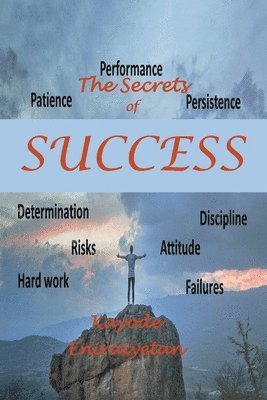 bokomslag The Secrets of Success