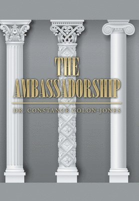 bokomslag The Ambassadorship