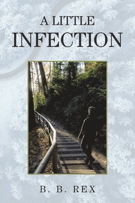 bokomslag Little Infection