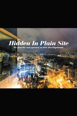 Hidden in Plain Site 1