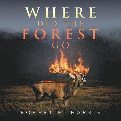 Where Did the Forest Go