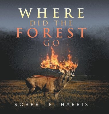 Where Did the Forest Go