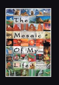 bokomslag The Mosaic of My Life (Black & White Version)