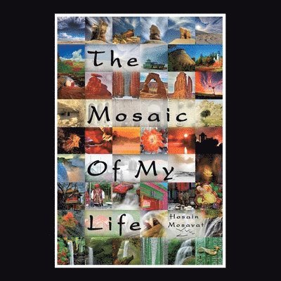 The Mosaic of My Life (Color Version) 1