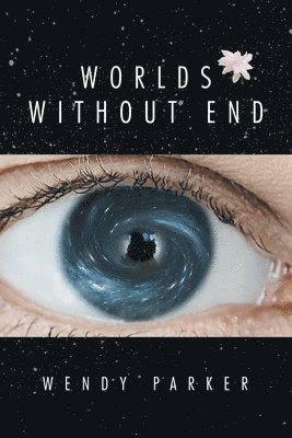 bokomslag Worlds Without End