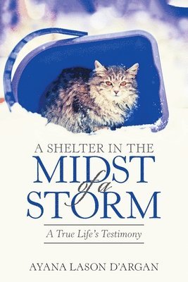 A Shelter in the Midst of a Storm 1