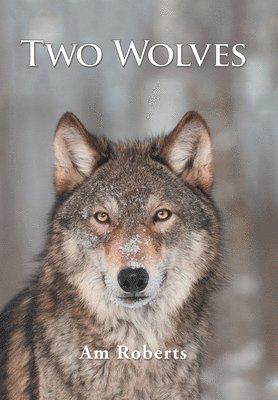 Two Wolves 1