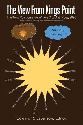 View from Kings Point