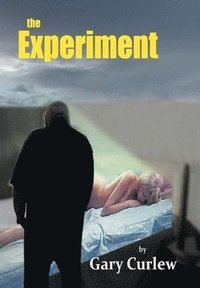 bokomslag Experiment