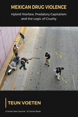 bokomslag Mexican Drug Violence