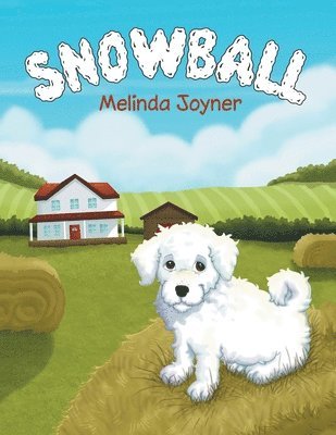 Snowball 1