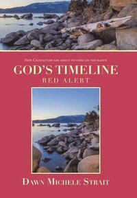 bokomslag God's Timeline