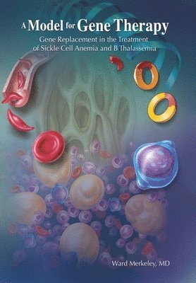 Model for Gene Therapy 1