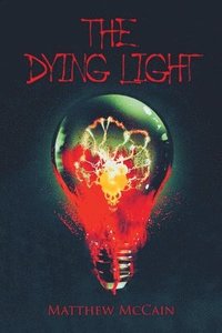 bokomslag The Dying Light