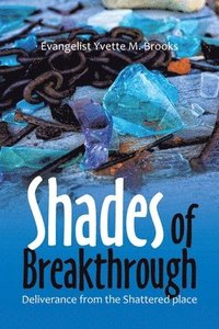 bokomslag Shades of Breakthrough