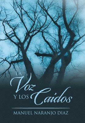 bokomslag Voz Y Los Caídos
