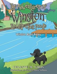 bokomslag The Adventures of Winston, the Little Black Poodle