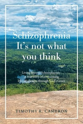 bokomslag Schizophrenia - It's Not What You Think