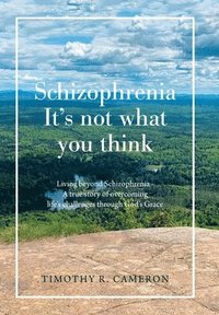 bokomslag Schizophrenia - It's Not What You Think