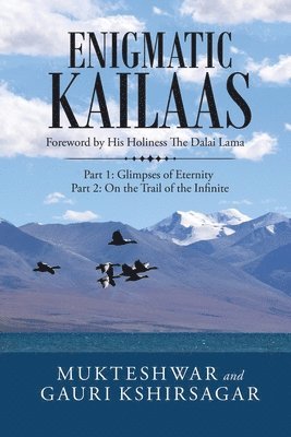 bokomslag Enigmatic Kailaas